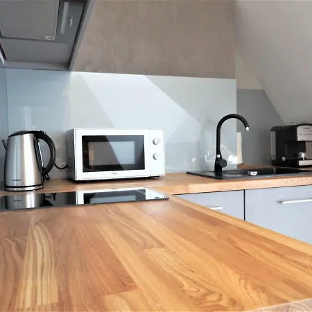 Vip Centrum2 Apartment