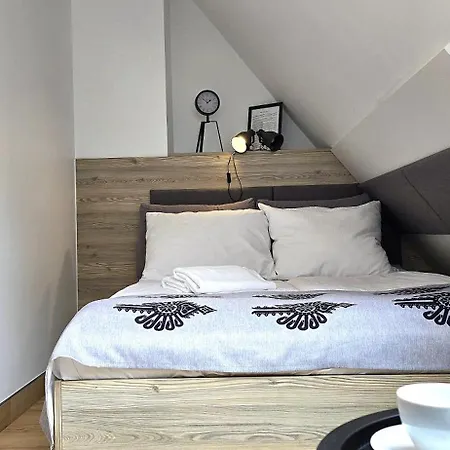 Vip Centrum2 Zakopane